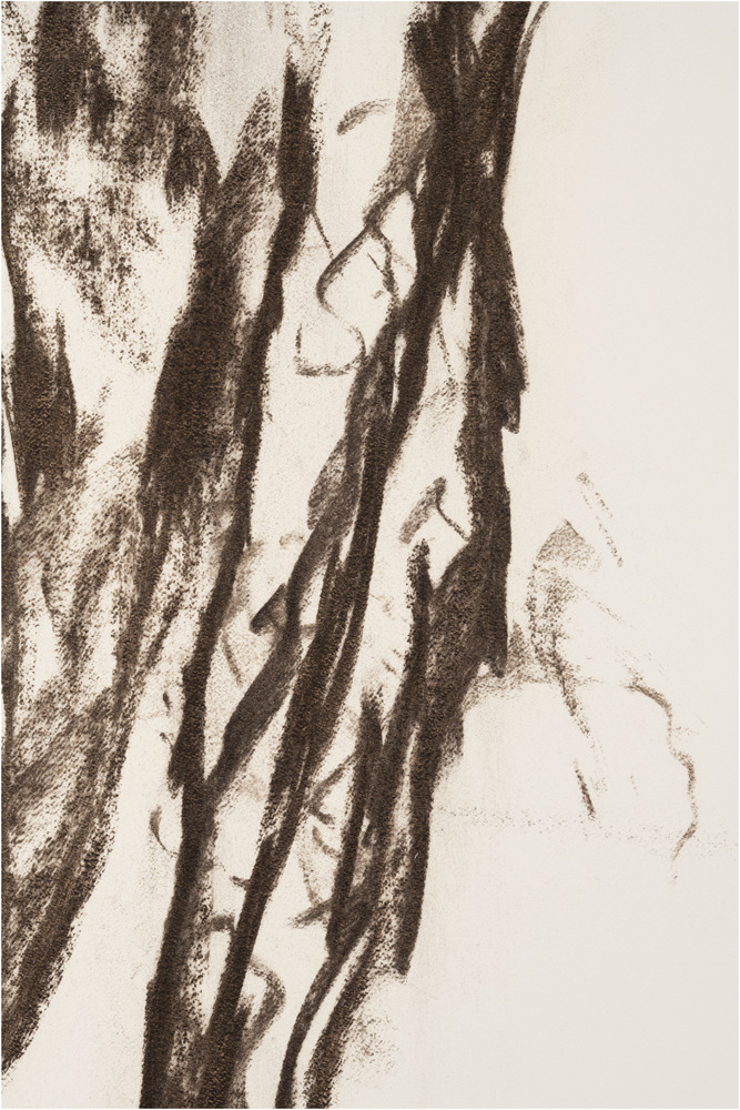 https://images.navigart.fr/1000/3Q/07/3Q07265.JPG