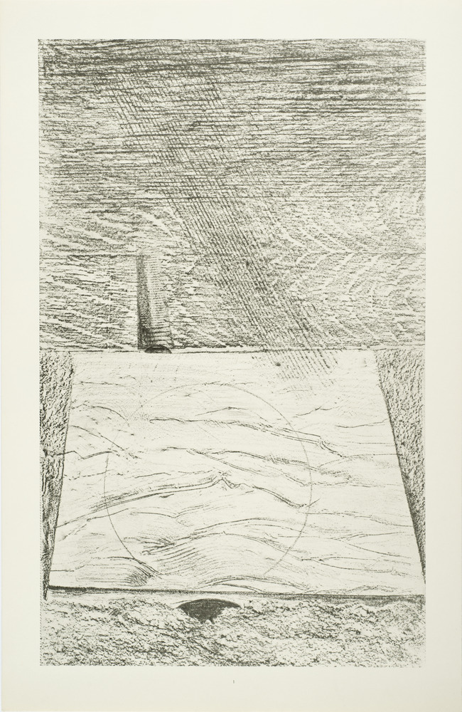 Max ERNST - histoire naturelle | MAC's Grand-Hornu