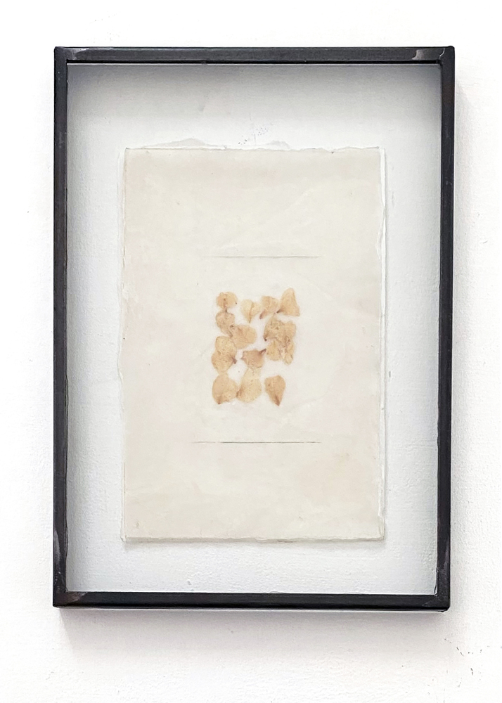 Photographie : Beppe Giardino - ©  Gregorio Botta - Courtesy Gregorio Botta et Peola Simondi Gallery Visuel fourni par la galerie Peola Simondi (Turin)