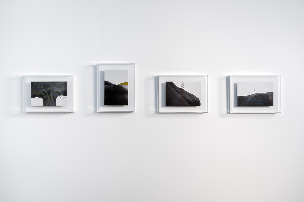 Photographie : Pierre Rich - ©  Binta Diaw - Courtesy galerie Cécile Fakhoury, Abidjan - Dakar - Paris Visuel fourni par le photographe