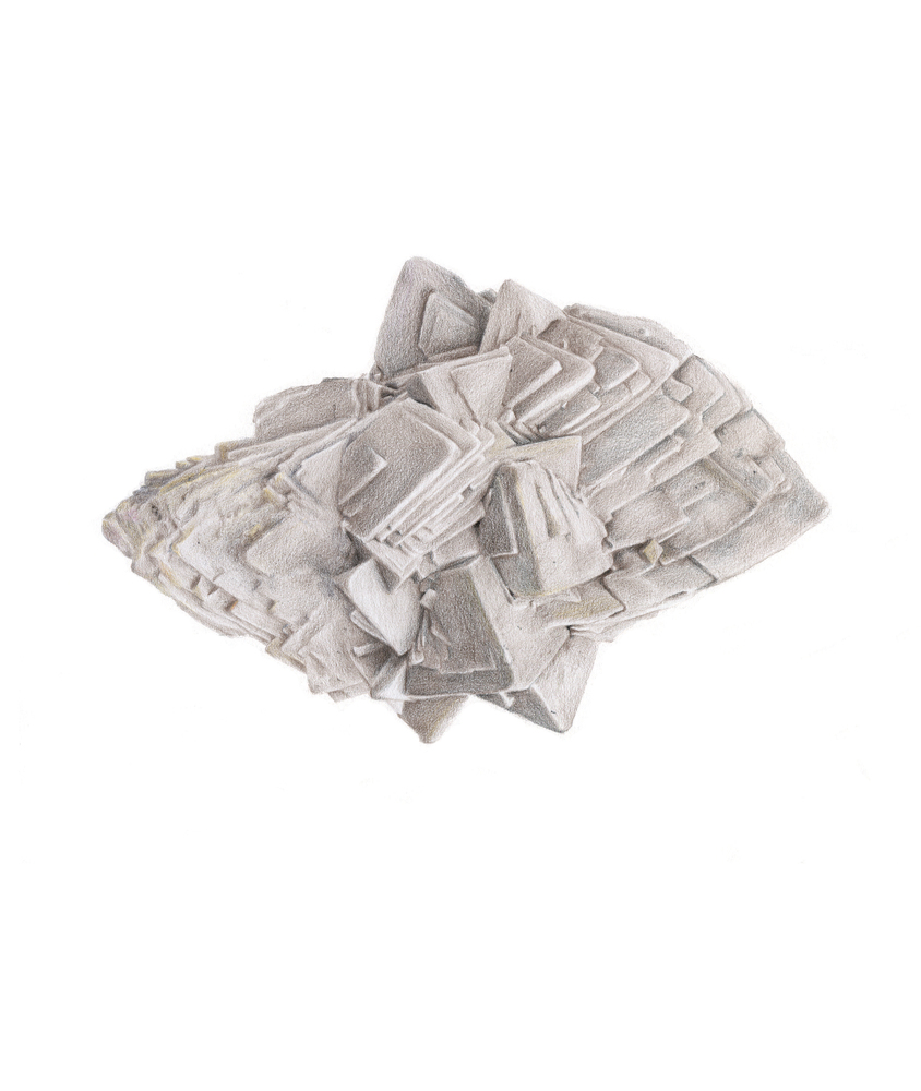 Photographie : artiste - ©  Claire Hannicq - Visuel fourni par l'artiste