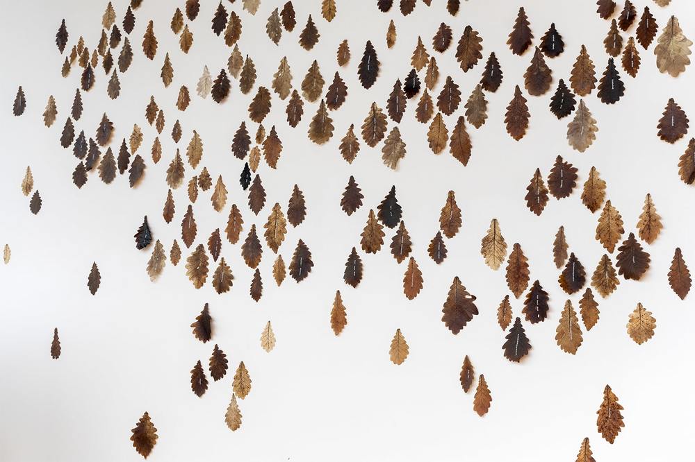 Photographie : Pierre Rich - ©  Claudie Hunzinger - Prise de vue réalisée à l'occasion de l'exposition 'Sur les bords du monde: férales, fières et farouches' au FRAC Alsace du 1er juillet au 19 novembre 2023, Sélestat (Bas-Rhin, Grand est) Visuel fourni par le photographe