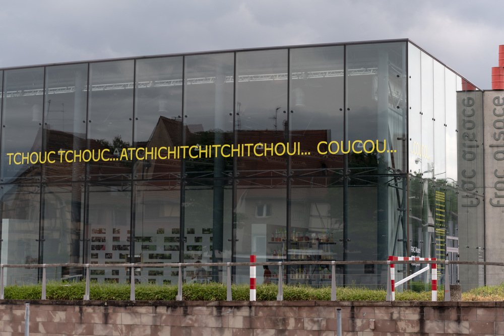 Photographie : Pierre Rich - ©  Claudie Hunzinger - Détail de prise de vue réalisée à l'occasion de l'exposition 'Sur les bords du monde: férales, fières et farouches' au FRAC Alsace du 1er juillet au 19 novembre 2023, Sélestat (Bas-Rhin, Grand Est) Visuel fourni par le photographe