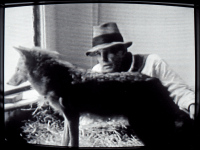 Joseph Beuys I Like America And America Likes Me