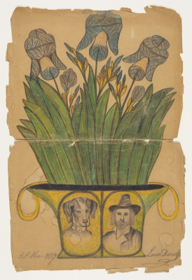Iris