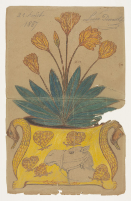 Tulipes doubles