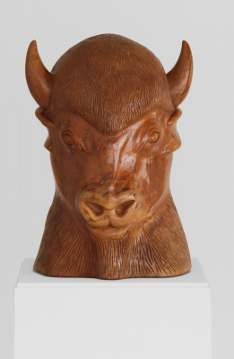 Tête de bison