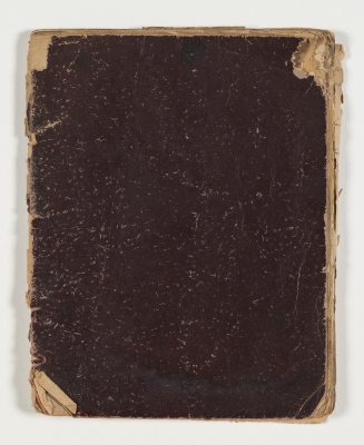 Carnet délire éléctoral
