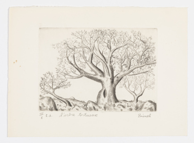 L'Arbre tortueux