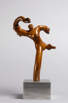 Femme homme serpent cochon