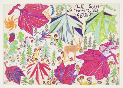 Le soleil au travers des feuilles