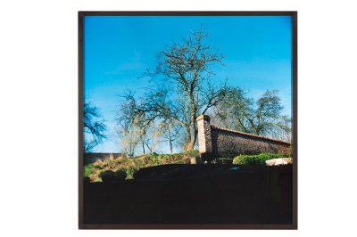 MYLAYNE Jean-Luc | Musée d'art contemporain de Lyon