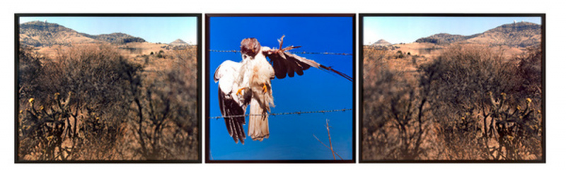 MYLAYNE Jean-Luc | Musée d'art contemporain de Lyon